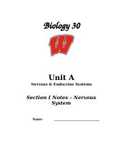NS notes part I.docx