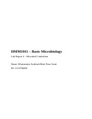 Lab Report 4 – Microbial Catabolism