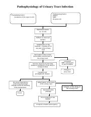 47071540-Pathophysiology-of-Urinary-Tract-Infection.doc