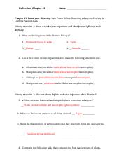 Reflection_Chapter 19&20_Answers (1).docx