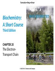 Tymocko Ch. 20  The electron transport chain.pptx