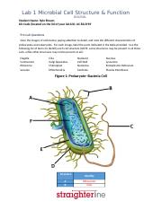 Lab 1 -Microbial Cell Structure and Function (4).docx