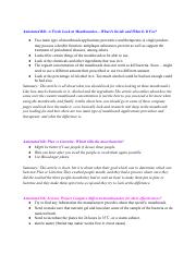 IB  Bio notes.pdf