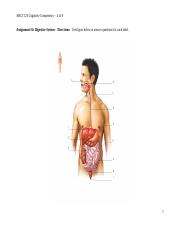 Cognitive Comp Digestive System 4 of 8