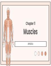 chapter 11 muscles.pdf