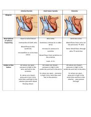 Cardic cycle teacher sheet.docx