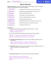 meiosis_worksheets.pdf