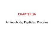 Lecture 10 Amino Acids Proteins