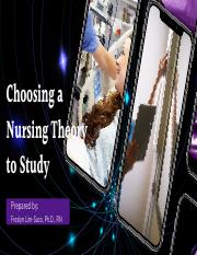 C. Choosing a Nursing Theory to Study.pdf