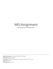 MIS Assignment.pdf