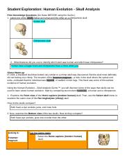 Student Exploration_ Human Evolution - Skull Analysis.docx