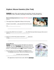 Mouse Genetics Gizmo Student.docx