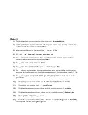 Previous Quiz questions- Final (1).pdf