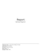 Report (89).pdf