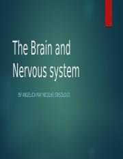  PSY 402 Brain and Nervous System Presentation.pptx