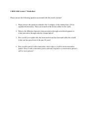 Lecture 7 Worksheet.docx