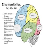 Learning and the Brain Packet.pptx