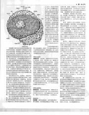 中国大百科全书24_274.pdf
