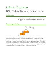 B2b Dietary Fats and Lipoproteins.docx