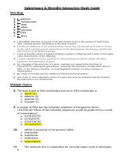 Heredity – Protein Synthesis ISG.docx