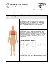 Kami Export - Respiratory System Research Worksheet.pdf