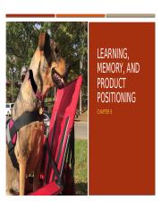Chapter 9 - Learning Memory and Product Positioning.pptx