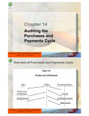Audit Chapter 14.pdf