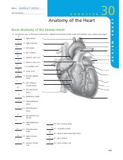 LAS-10-HEART-ANATOMY_horca.pdf