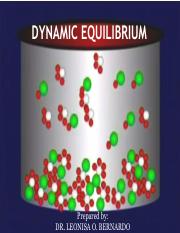 dynamic equilibrium.pdf