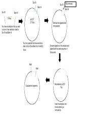Tutorial circular DNA question.pdf