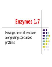 Enzyme Function.ppt