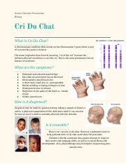 Cri Du Chat Flyer.pdf