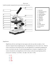 Chapter 2 Microscope.docx