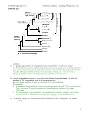 Phylogenetic trees ANSWERS(2).pdf - UBC Biology 121 2018 Practice