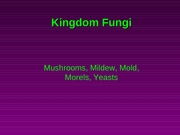 Mushrooms,etc (23)