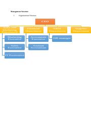 Management Structure.docx