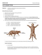 Cat dissection Directions- SESSION ONE.docx
