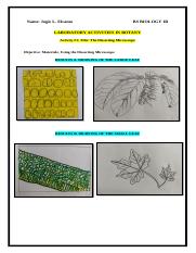 Laboratory Activities (Botany Requirements).docx