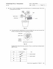 Photosynthesis (1).pdf