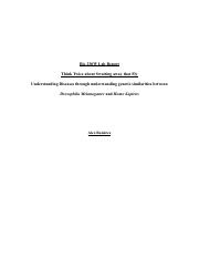 Bio 230W Lab Report .pdf