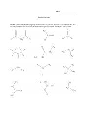 functional groups.docx