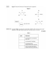 Biological molecule AQA exam paper.odt