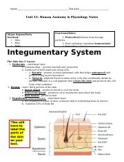 2022 Human Anatomy and Physiology Notes KEY-3.docx