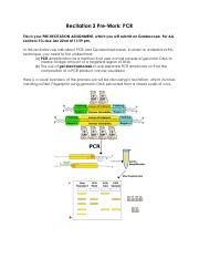 PCR-pre-assignment_R2.pdf