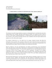 Adriana__deforestation_in_the_Amazon.pdf
