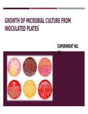 10.GROWTH OF MICROBIAL CULTURE FROM INOCULATED PLATES.pot