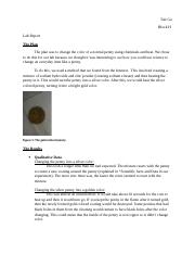 lab report pennies (1)