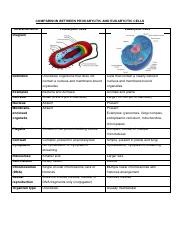 COMPARISON BETWEEN PROKARYOTIC AND EUKARYOTIC CELLS.pdf