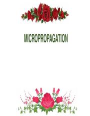 MICROPROPAGATION.pptx
