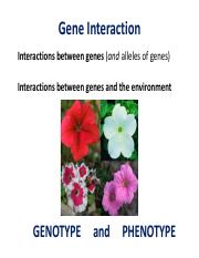 68-Two gene interactions-recessive epistasis.pdf